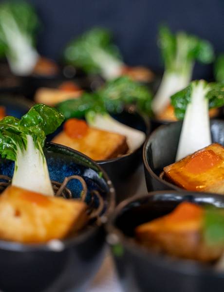 Teriyaki tofu with pak choi and fried noodles at Reduce Hotel Vital ****S 
