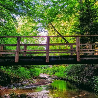 Willersdorf Gorge 
