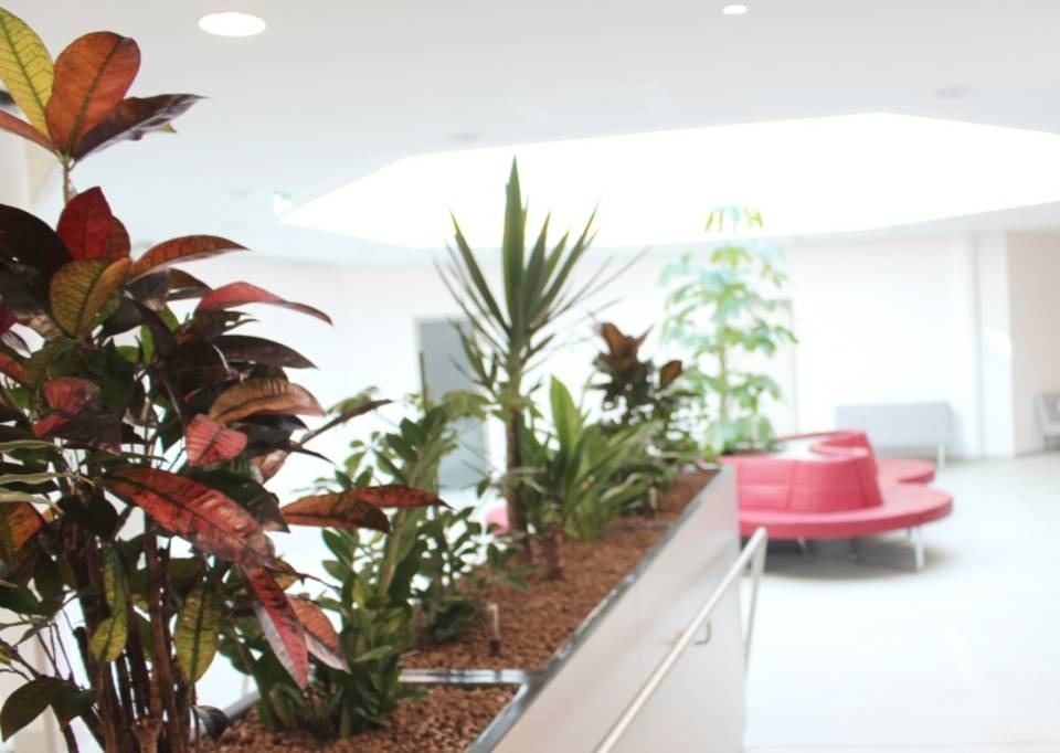 The REDUCE spa center 