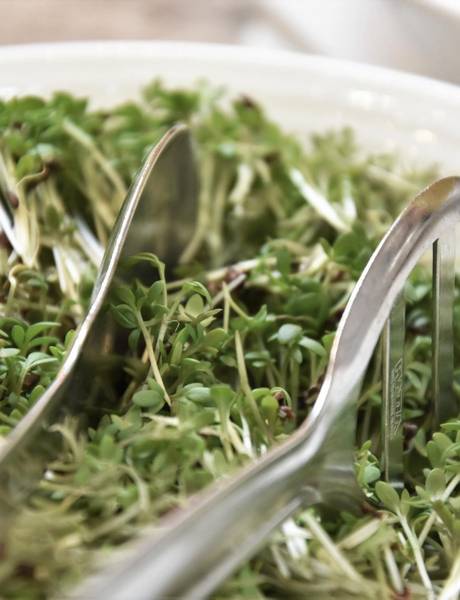 We are part of Vegan Welcome!