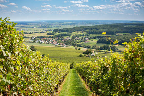 the most beautiful places in Burgenland
