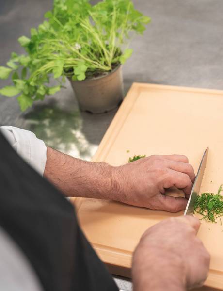 Get 5% with VCard in REDUCE Hotel Vital 4*