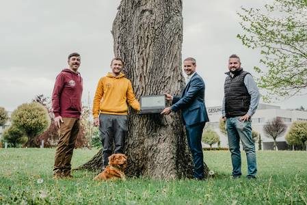 1,423 trees mapped - collaboration between REDUCE health resort and Arbsolutions