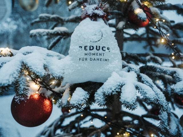 Winter Wellness at REUCE