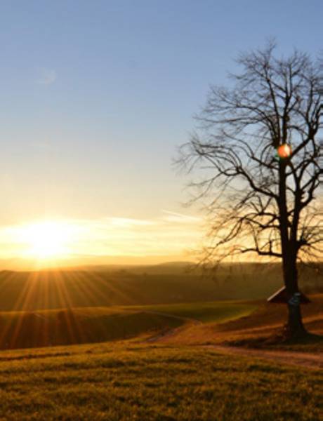 Landscape picture with sunset