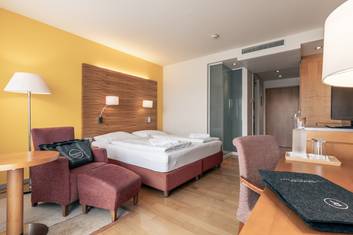 "Standard" Room at Hotel Vital 