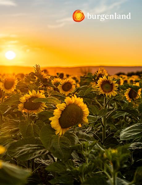 Enchanting southern Burgenland