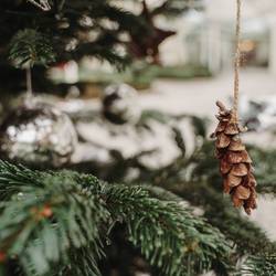 Christmas in DAZUMAL 