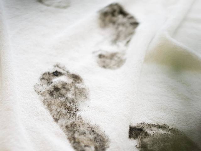 Footprints from the bog