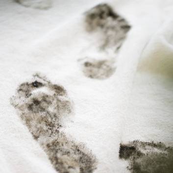 Footprints bog in REDUCE