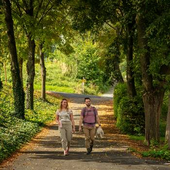 Hike around Bad Tatzmannsdorf