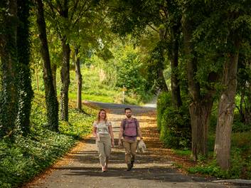 Couple hiking through the forest in southern Burgenland