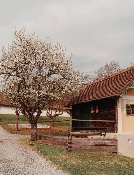 Dazumal Open Air Museum & Arkadenheuriger Bad Tatzmannsdorf